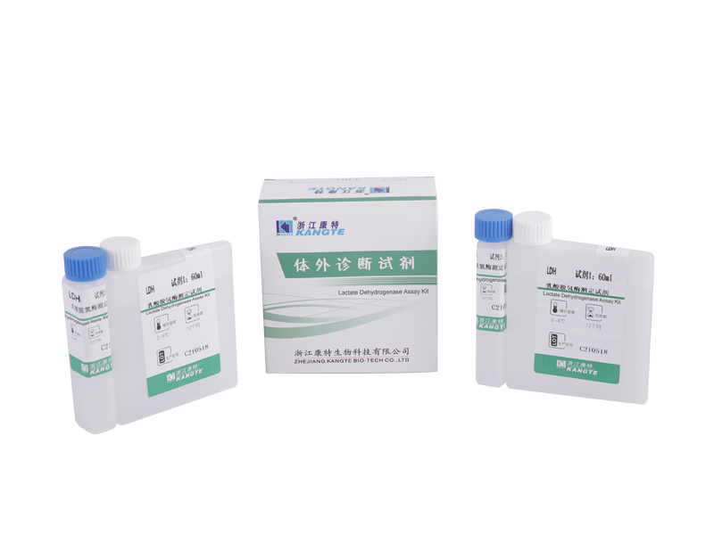 【LDH】Laktat Dehidrogenase Kit Ujian (Kaedah Substrat Laktat)