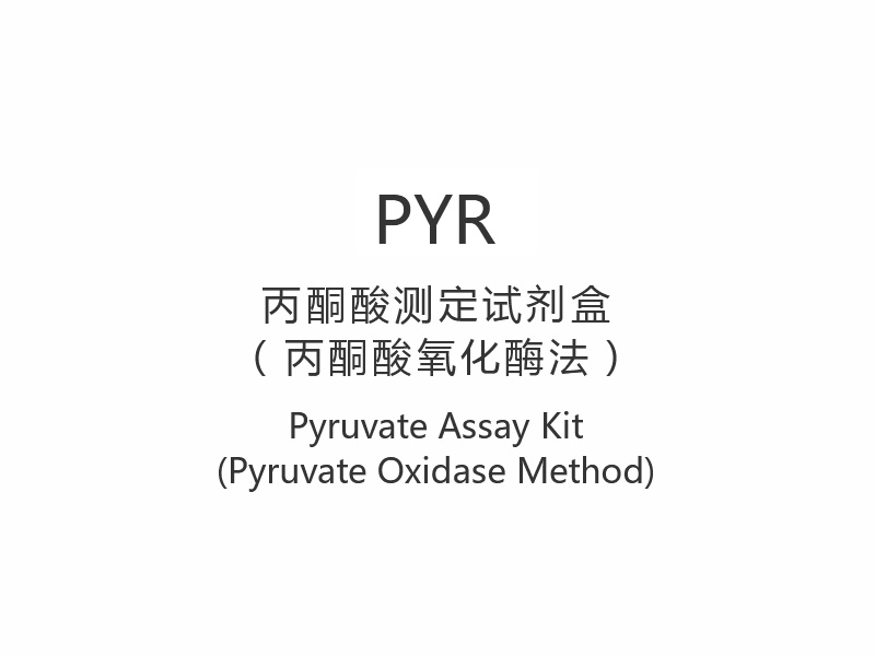 【PYR】Kit Ujian Piruvat (Kaedah Piruvat Oksidase)